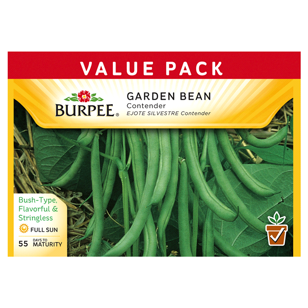 slide 1 of 1, Burpee Garden Bean Contender Seeds, 1 ct