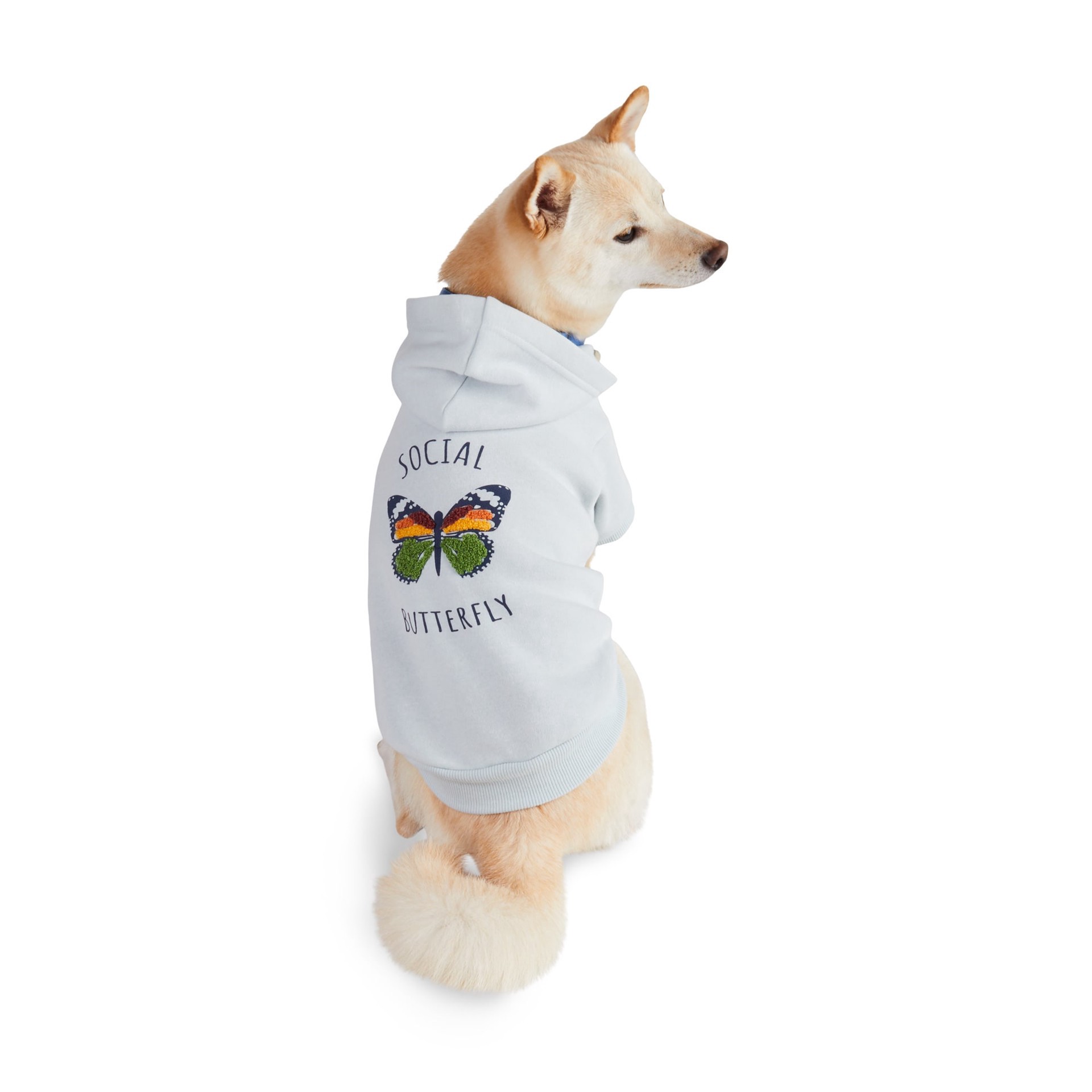 slide 1 of 1, Started As A Bottle Butterfly Hoodie for Dogs and Cats, X-Small, Grey, x-small