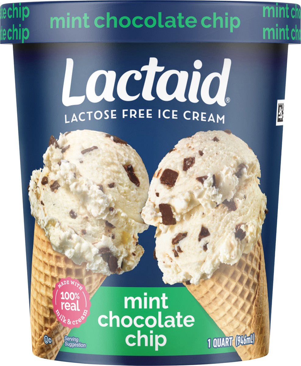 slide 8 of 9, Lactaid Mint Chocolate Chip Ice Cream, 1 Quart, 1 qt