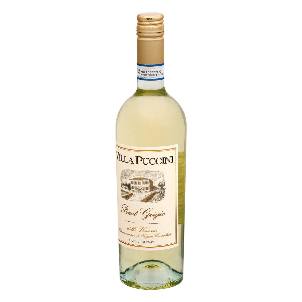 slide 3 of 9, Villa Puccini Pinot Grigio 750 ml, 1 ct