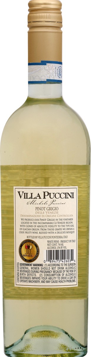 slide 5 of 9, Villa Puccini Pinot Grigio 750 ml, 1 ct