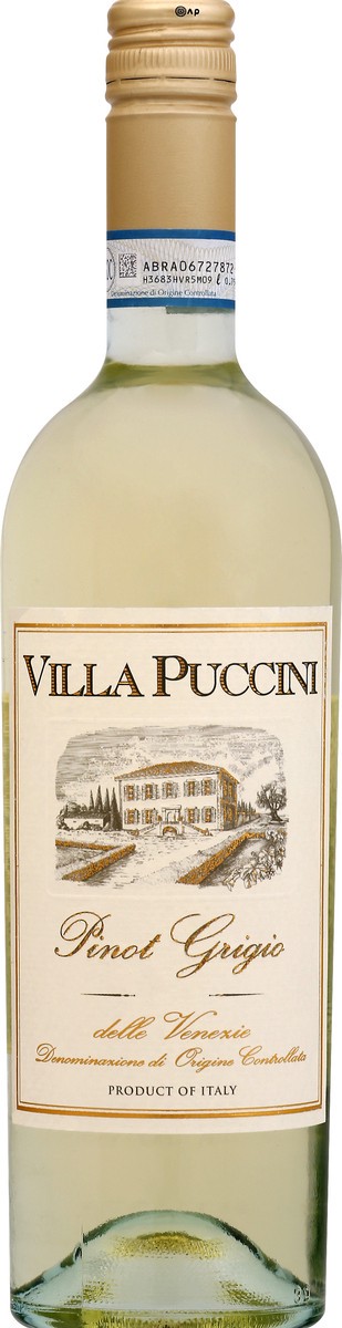 slide 6 of 9, Villa Puccini Pinot Grigio 750 ml, 1 ct
