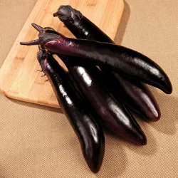 Bonnie Plants Organic Shikou Eggplant