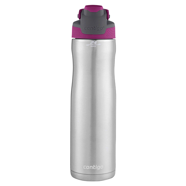 slide 1 of 1, Contigo AUTOSEAL Chill Vacuum-Insulated Stainless Steel Water Bottle, Very Berry, 24 oz