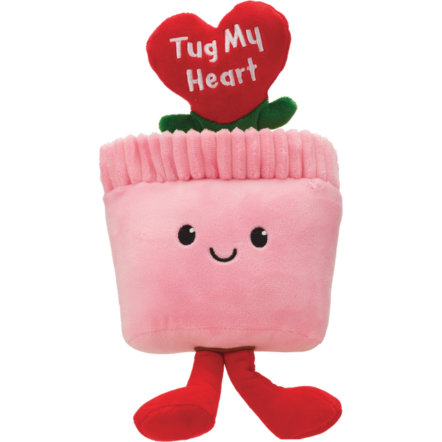 slide 1 of 1, CVS BRAND PET 10In Val Flwr Pot W Crinkly Pap, 1 ct