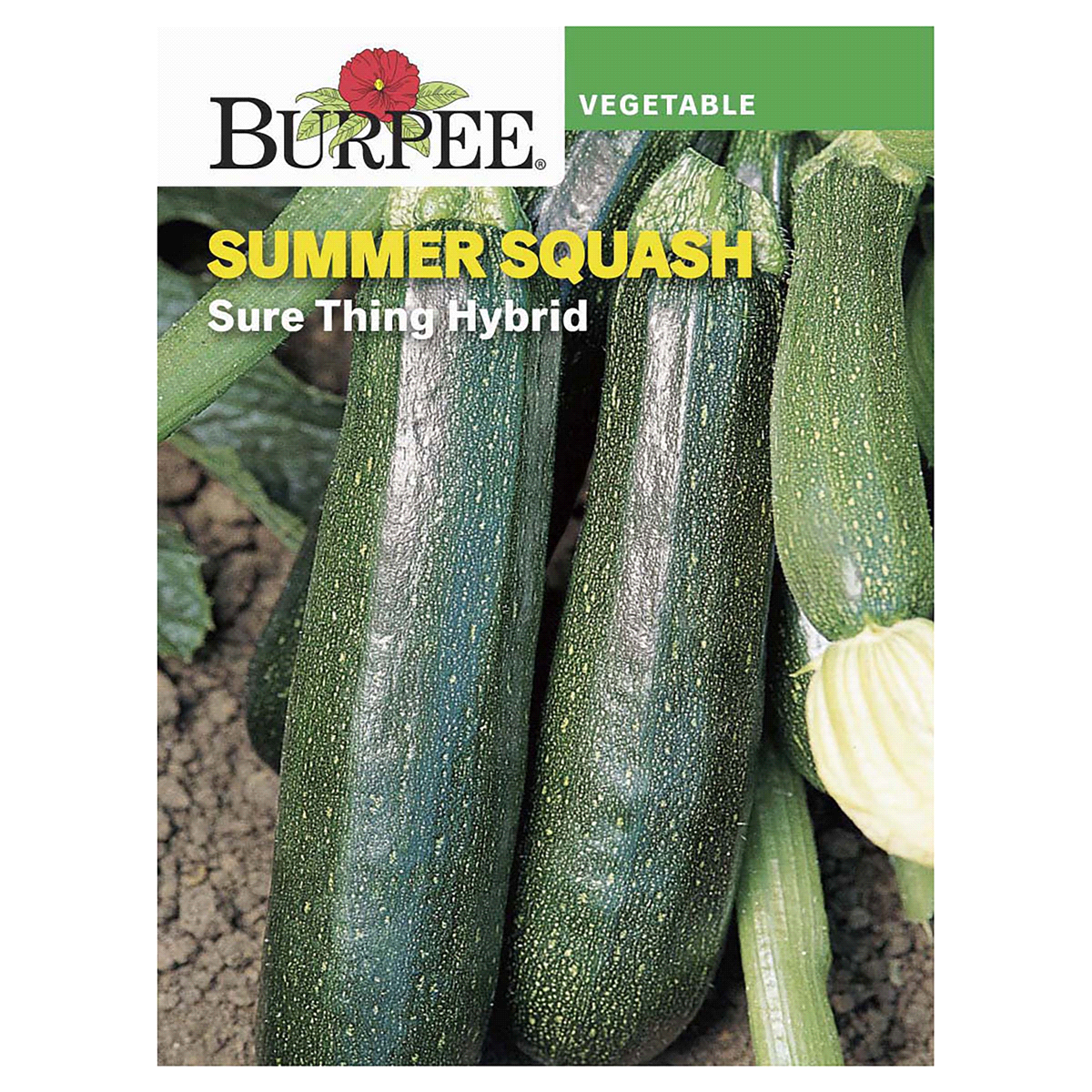 slide 1 of 5, Burpee Summer Squash Sure Thing Hybrid Seeds, 1 ct