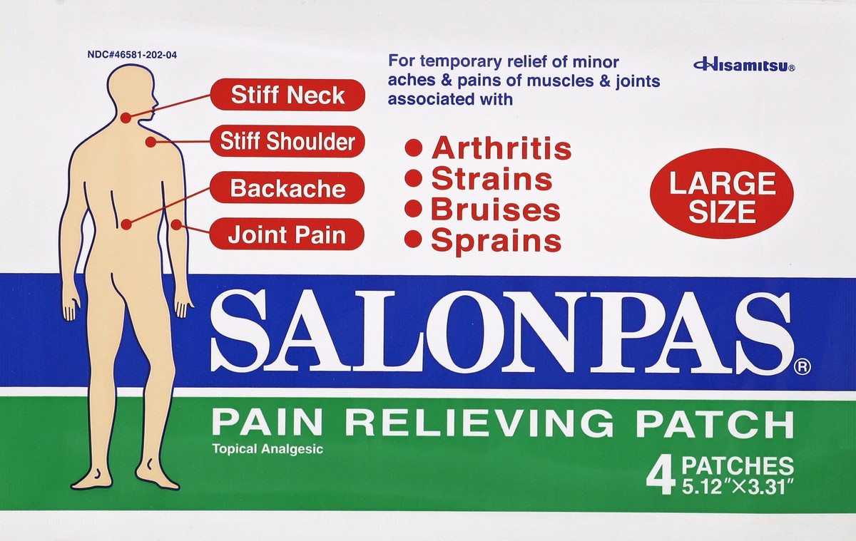 slide 2 of 2, Salonpas Pain Relieving Patch Large Size (5.12"X3.31"), 1 ct