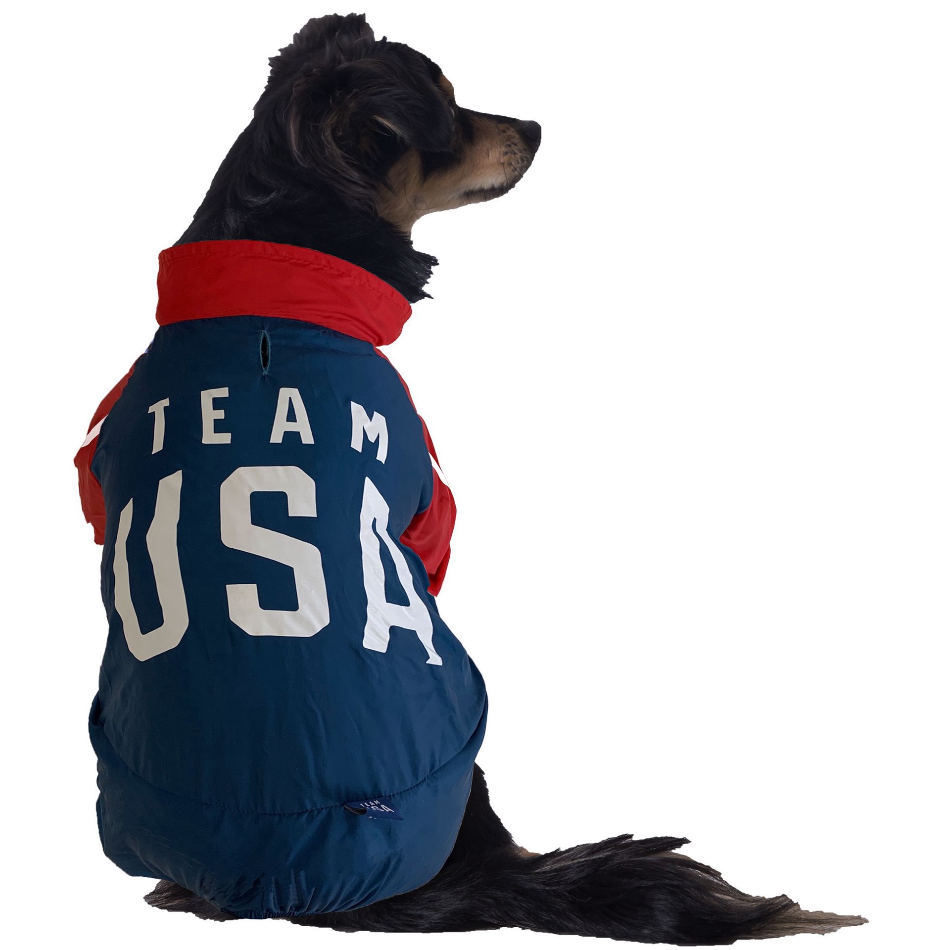 slide 1 of 1, GMason Team USA Dog Tracksuit, 1 ct; X small
