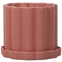 8.5in Daisee Ceramic Planter Rose