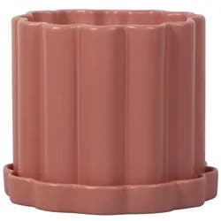 8.5in Daisee Ceramic Planter Rose