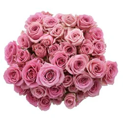 Bouque Consumer Bunch Spray Roses