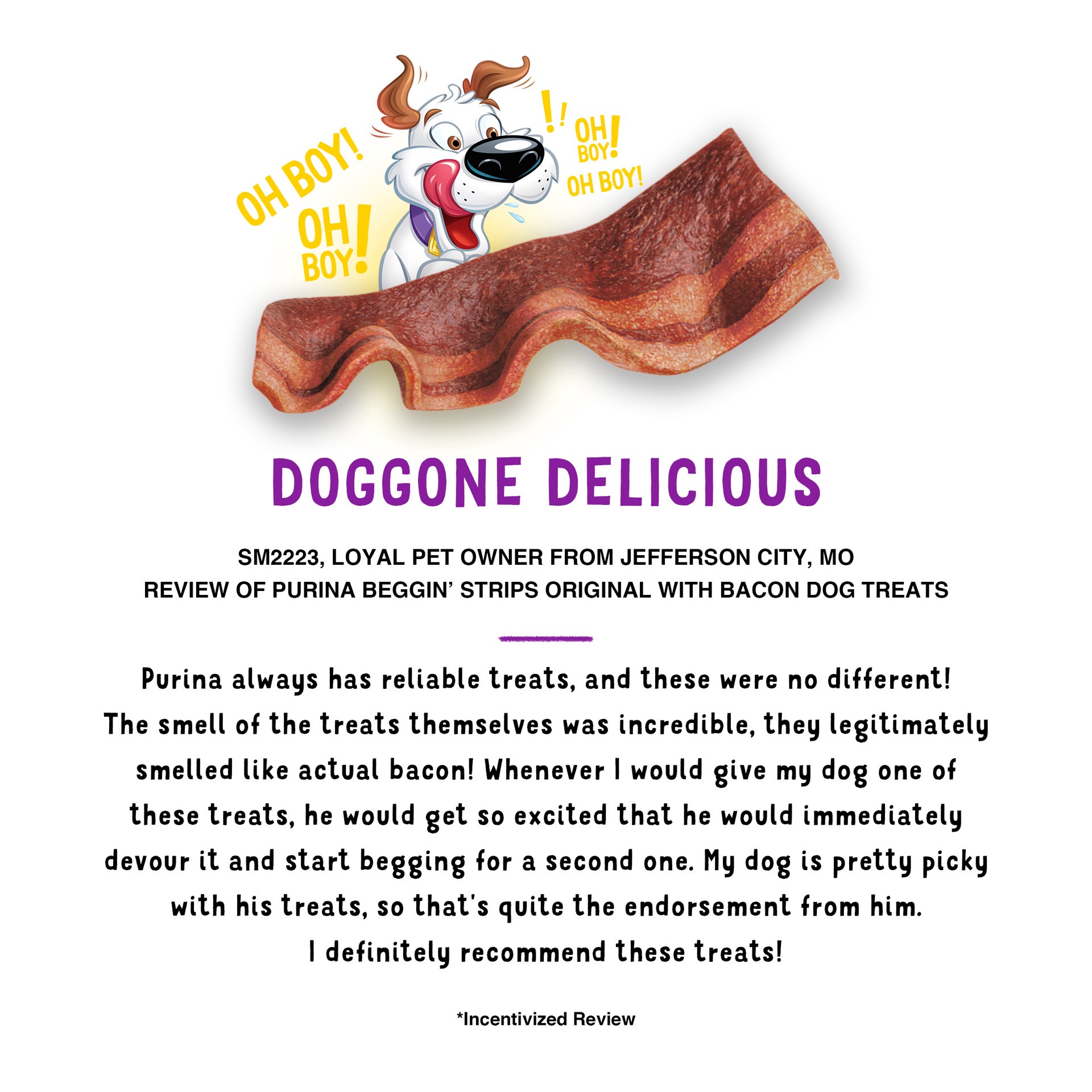 slide 4 of 9, Purina Beggin' Strips Dog Training Treats Original with Bacon Chewy Dog Treats - 6oz Pouch, 6 oz