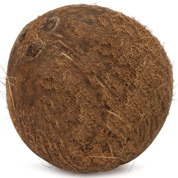 slide 1 of 1, Premium Organic Coconuts, 1 ct