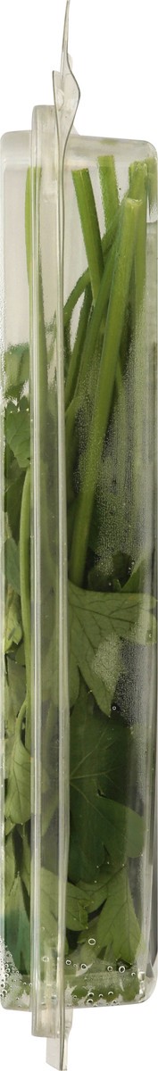 slide 12 of 12, That's Tasty Italian Parsley, 0.5 oz