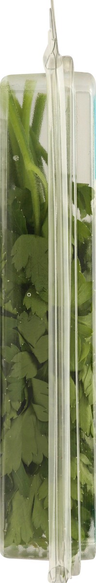 slide 4 of 12, That's Tasty Italian Parsley, 0.5 oz
