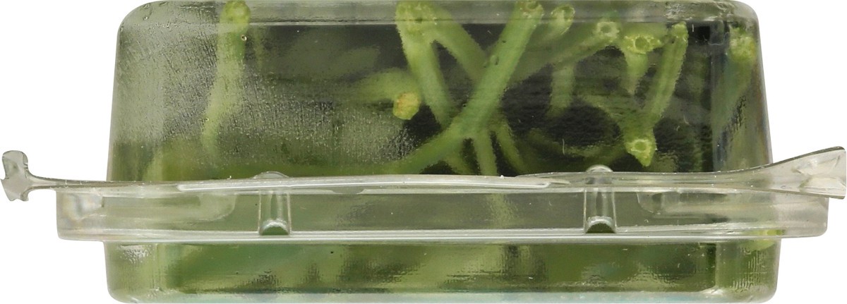 slide 5 of 12, That's Tasty Italian Parsley, 0.5 oz