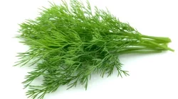 Melissa's Organic Dill