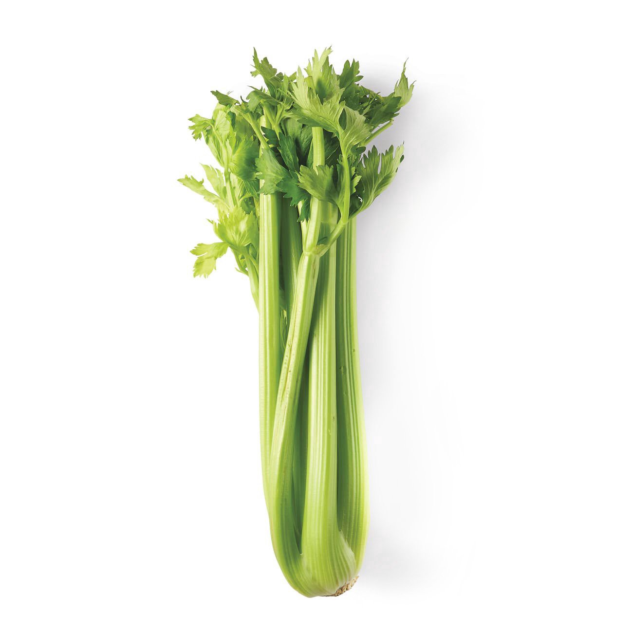 slide 1 of 1, Organic Celery Stalk, 1 ct