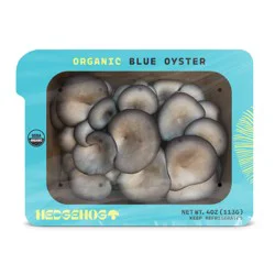 Hedgehog Organic Blue Oyster Mushrooms
