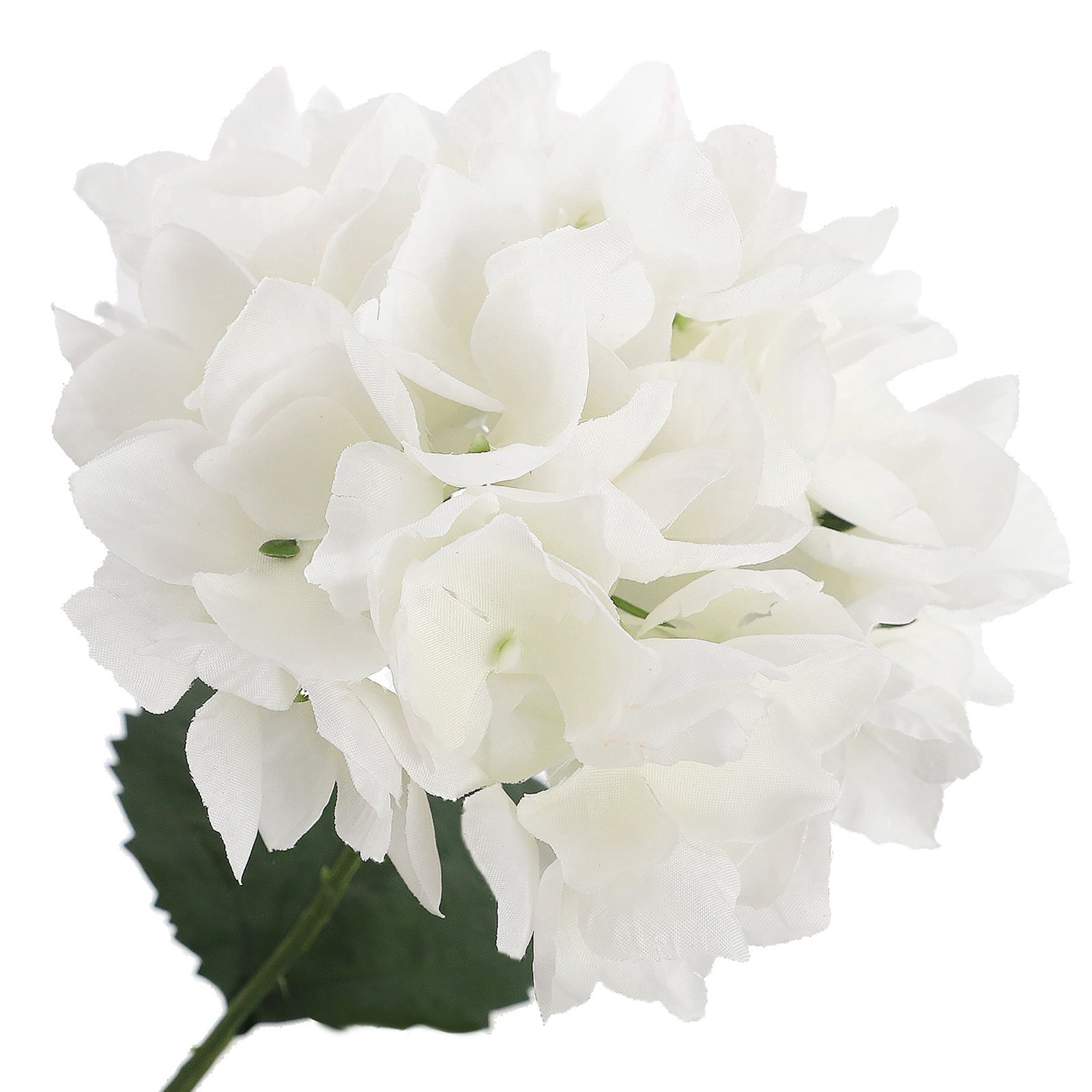 slide 3 of 7, White Hydrangea Bush By Ashland, 23 in