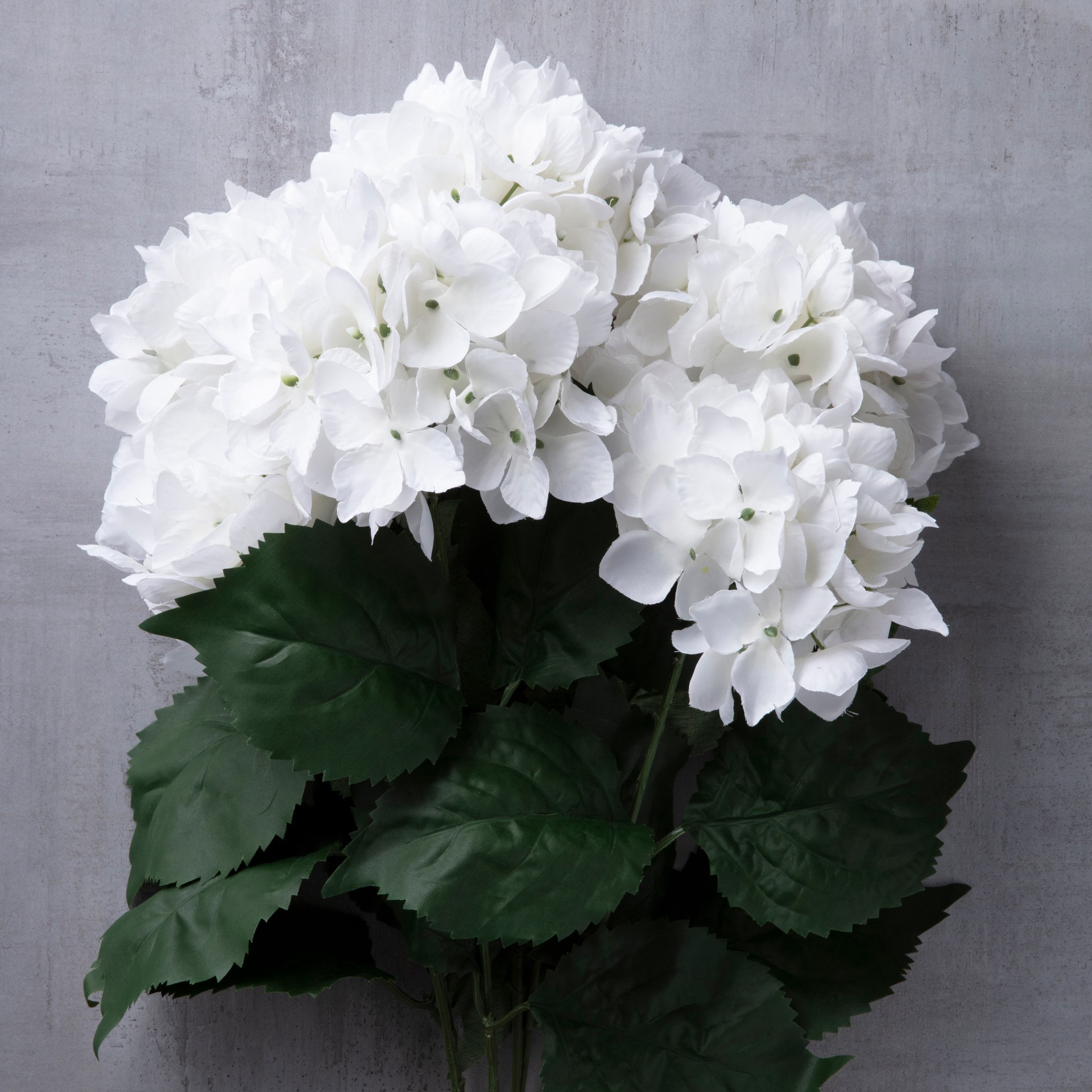 slide 6 of 7, White Hydrangea Bush By Ashland, 23 in