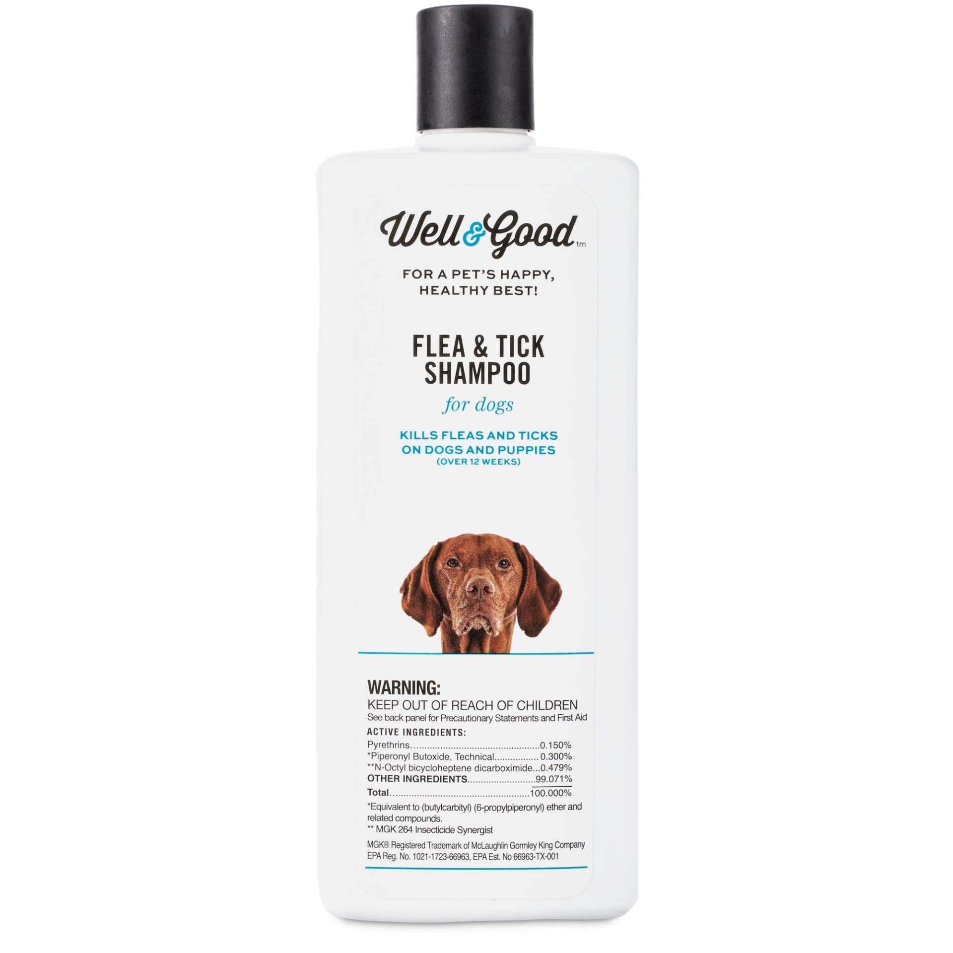 slide 1 of 1, Well & Good Flea and Tick Treatment Shampoo for Dogs & Puppies, 16 fl oz