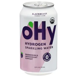 Ohy Water Blackberry Sprklng Wtr