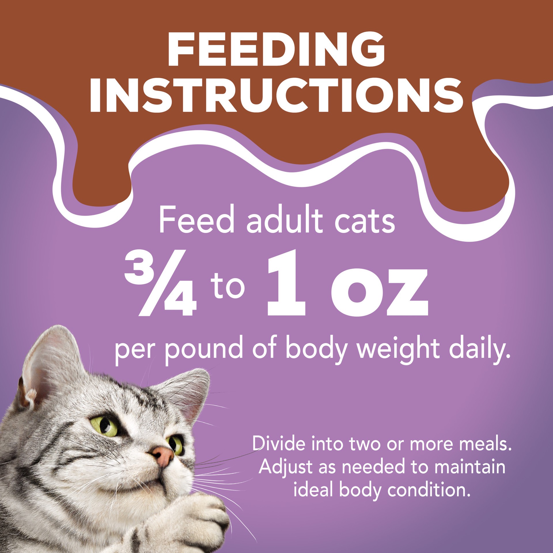 slide 3 of 7, Friskies Purina Friskies Gravy Pate Wet Cat Food, Extra Gravy Pate With Turkey in Savory Gravy, 5.5 oz