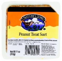 slide 1 of 1, Nature's Song Peanut Treat Suet, 11 oz