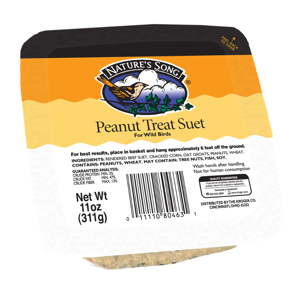 slide 1 of 1, Nature's Song Peanut Treat Suet, 11 oz