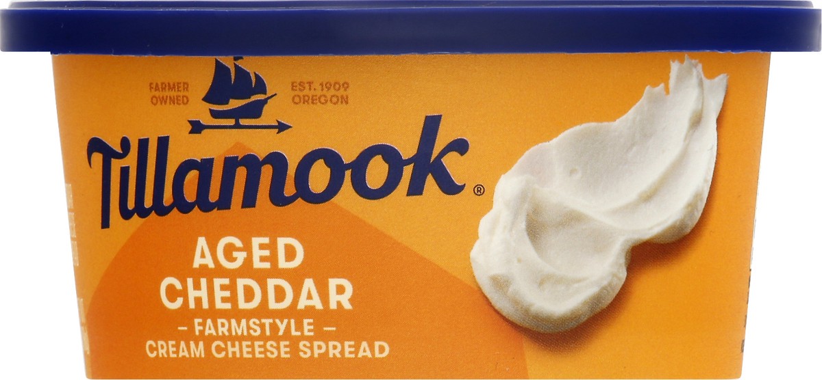 slide 1 of 5, Tillamook Farmstyle Aged Cheddar Cream Cheese Spread 7 oz, 7 oz