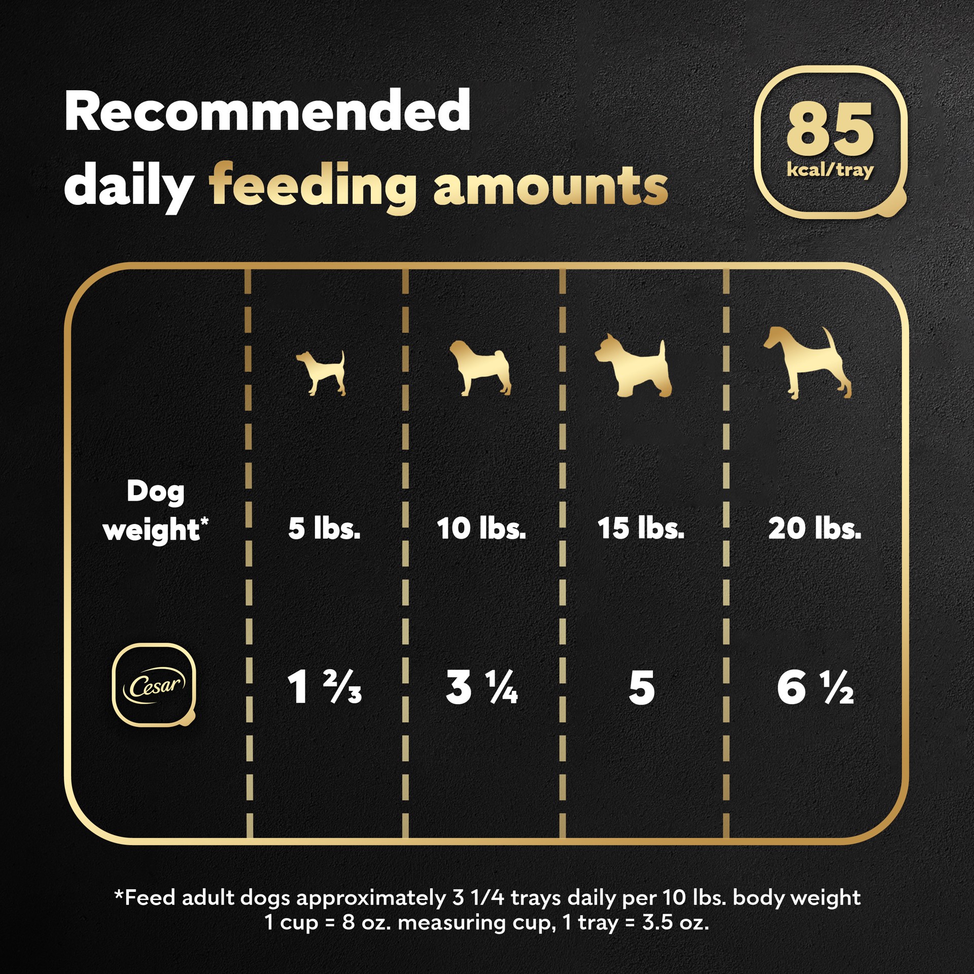 slide 5 of 6, Cesar Wet Dog Food Filets in Gravy Rotisserie Chicken Flavor Tray, 3.5 oz