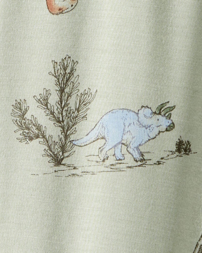 slide 3 of 4, Carter's Carters Baby Boy Dinosaur Print PurelySoft Long-Sleeve 2-Way Zip 1-Piece Pajamas - Green Green 18M, 1 ct