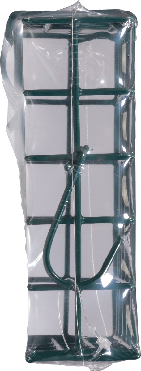 slide 7 of 9, Audubon Park Audubon Suet Feeder Basket, 1 ct