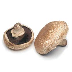 Mushrooms