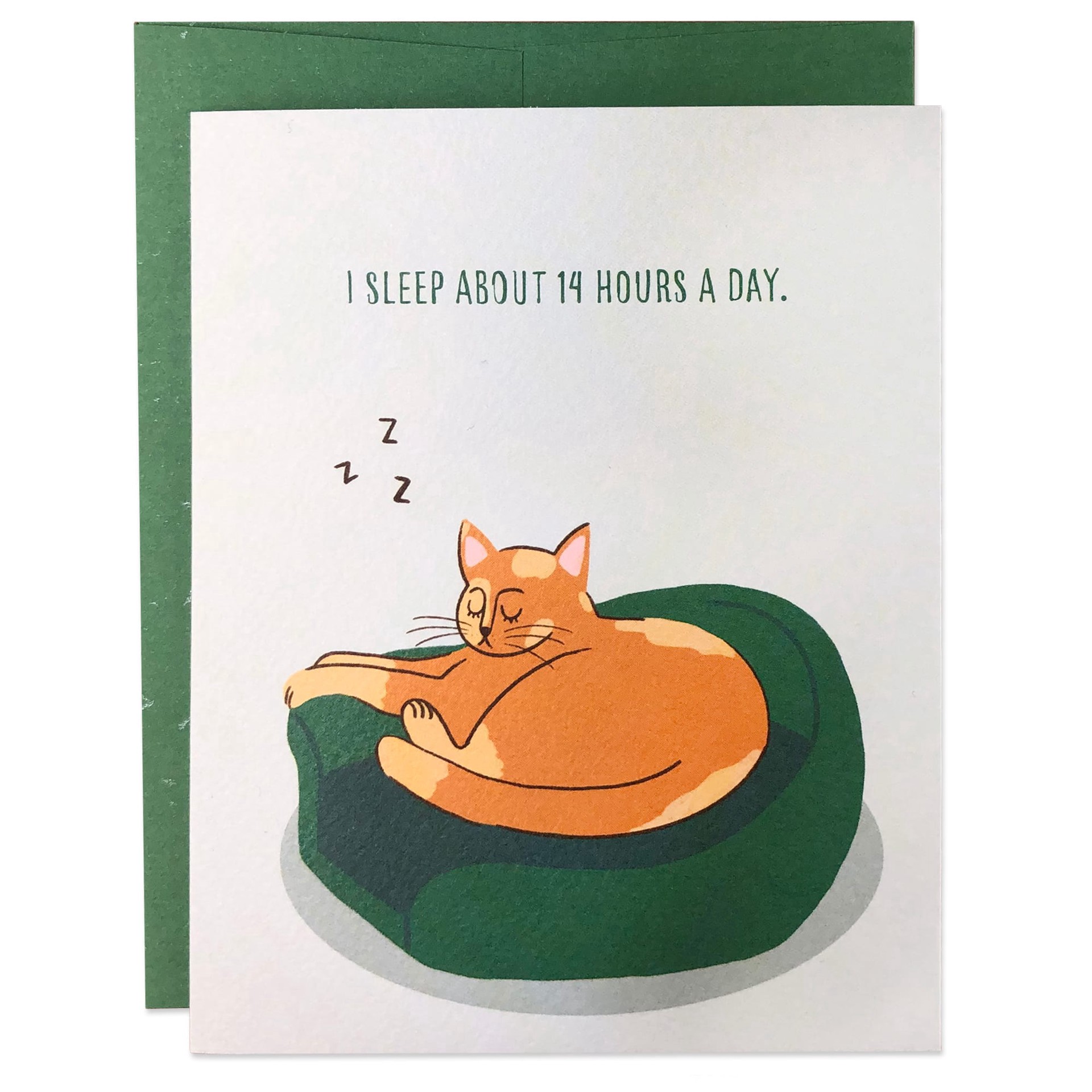 slide 1 of 1, Moose & Pig Sleeping Cat Birthday Card, 1 ct