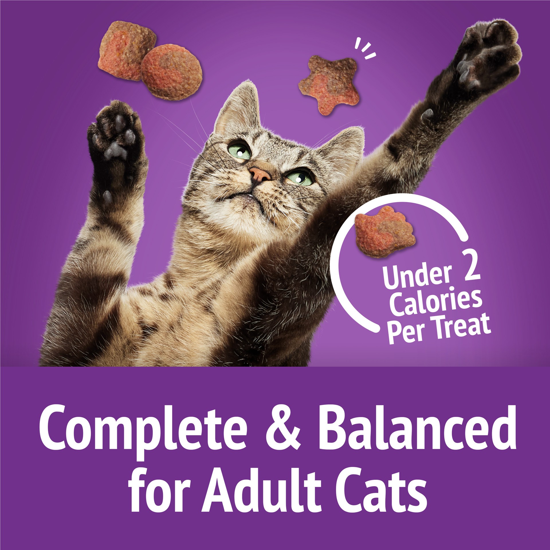 slide 8 of 9, Purina Friskies Cat Treats, Party Mix Gravy-licious Crunch Turkey and Gravy Flavors, 6 oz