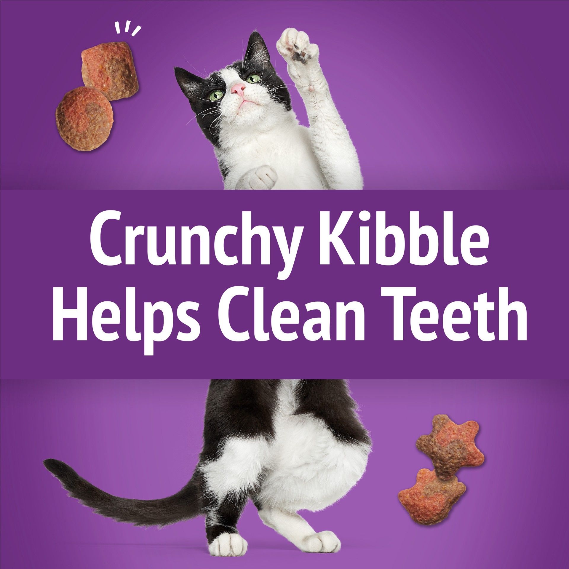 slide 7 of 9, Purina Friskies Cat Treats, Party Mix Gravy-licious Crunch Turkey and Gravy Flavors, 6 oz