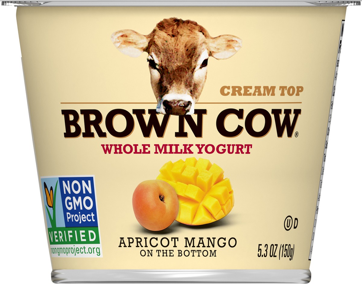 slide 1 of 5, Brown Cow Whole Milk Apricot Mango Yogurt, 5.3 fl oz