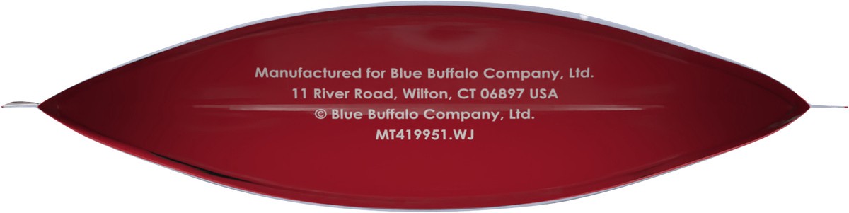 slide 4 of 9, Blue Buffalo Santa Snacks Natural Crunchy Dog Treat Biscuits, Oatmeal & Cinnamon Treats 11-oz, 11 oz