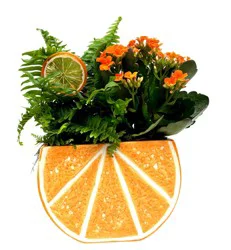 Orange Aperol Garden Fresh Flower Arrangement