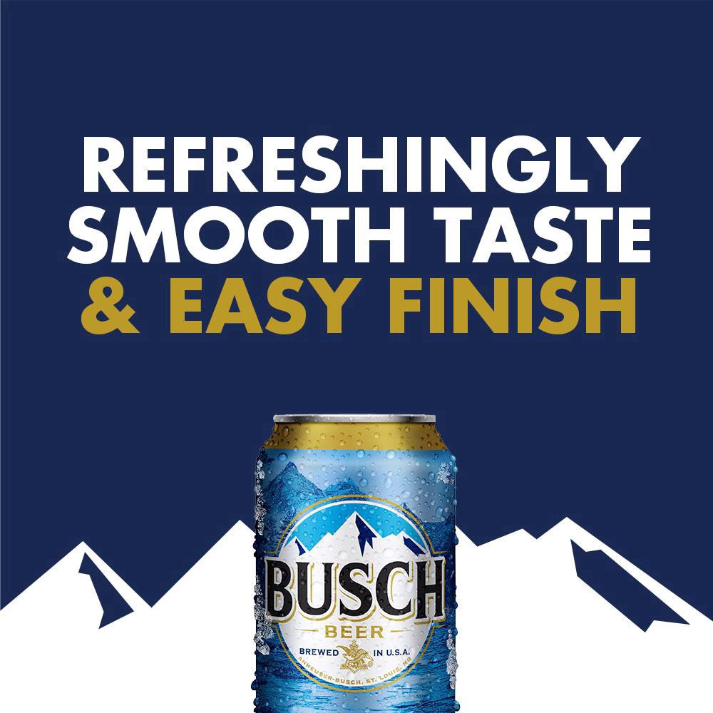 slide 28 of 37, Busch Beer, 12 fl oz