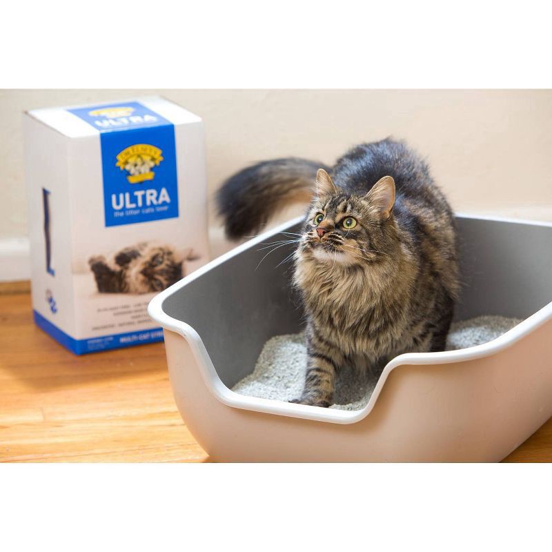 slide 6 of 6, Dr. Elsey's Fragrance Free Ultra Unscented Cat Litter - 35lb, 35 lb