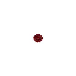 Fragrant & Lepidium Rose Vday - Ea