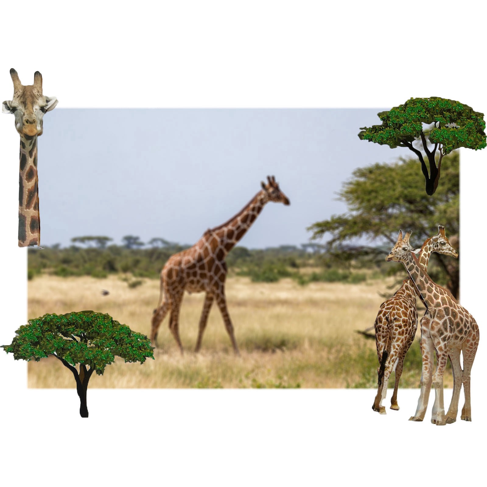 slide 4 of 4, Giraffe Stickers By Recollections, 3.875 in x 6.875 in