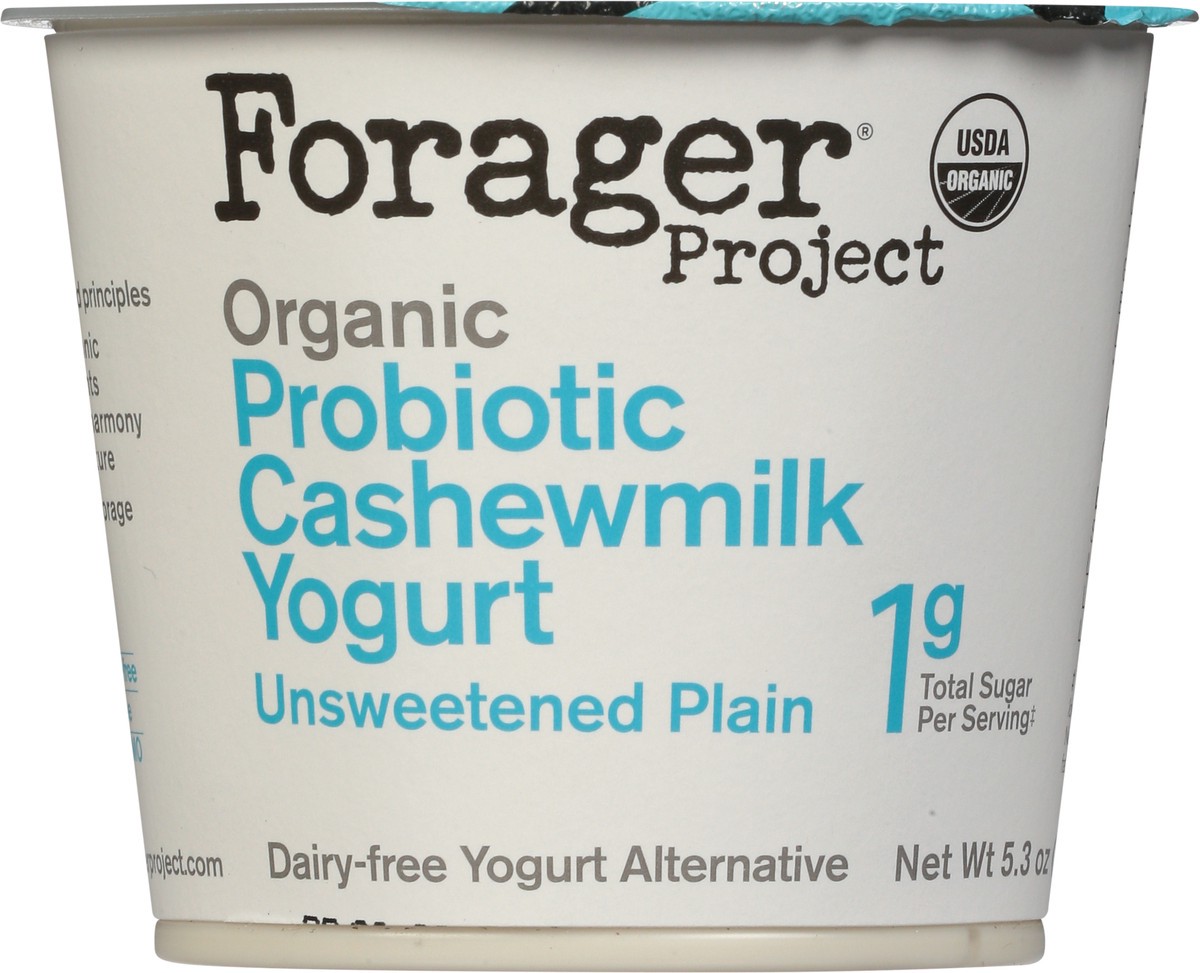 slide 2 of 9, Forager Project Probiotic Organic Unsweetened Plain Cashewmilk Yogurt 5.3 oz, 5.3 oz