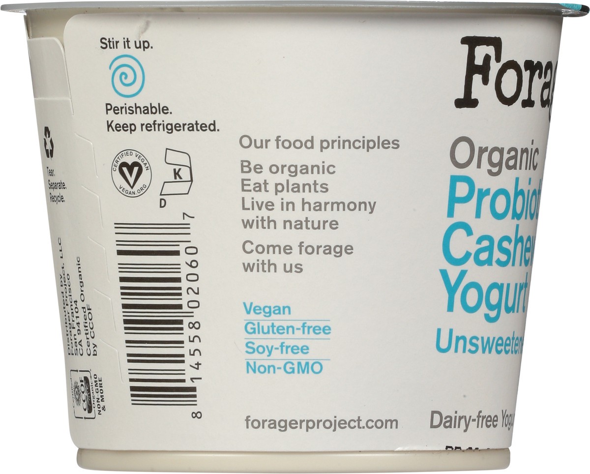 slide 7 of 9, Forager Project Probiotic Organic Unsweetened Plain Cashewmilk Yogurt 5.3 oz, 5.3 oz