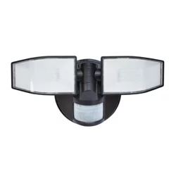Good Earth Lighting 2 Head Battery-Operated Security Light