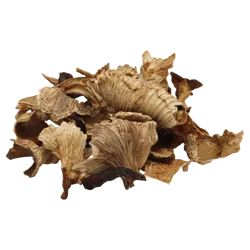 Chanterelle Mushrooms