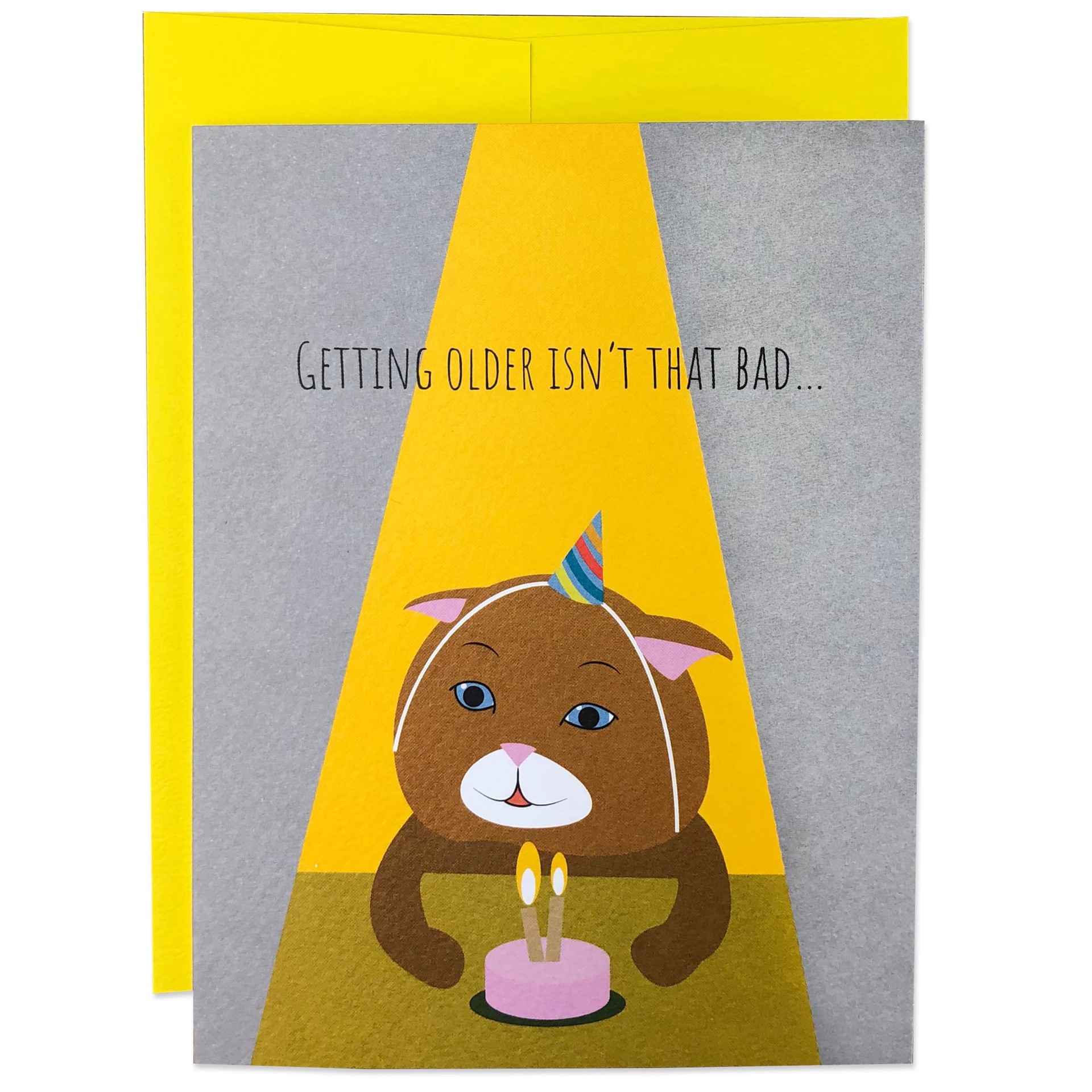 slide 1 of 1, Moose & Pig Getting Older Cat Birthday Card, 1 ct